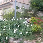 Appartement Silmare Rabac