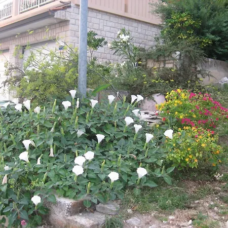 Apartment Silmare Rabac