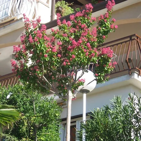 Apartment Silmare